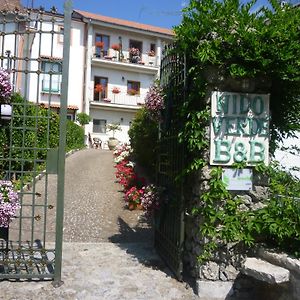 Nido Verde
